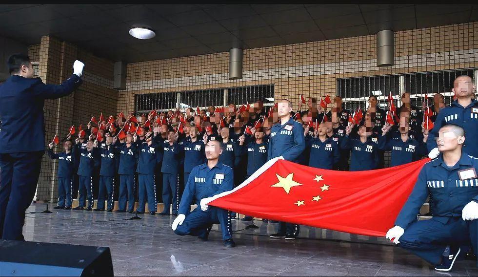 忍者鲨鱼